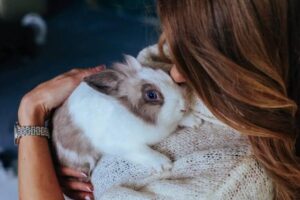 Rabbits - 6 Soft, Affectionate, And Small Pets Perfect For Cuddling