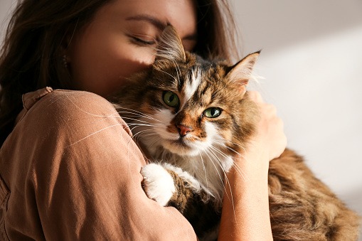 6 Small pets that are soft ,affectionate and perfect for cuddling
