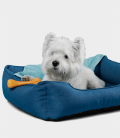 Visit Dubai Pets Groomer To Buy Dog Bed in All Sizes